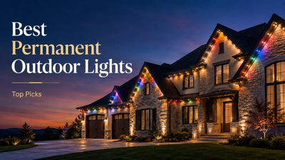 best permanent led outdoor lights​