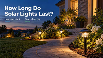 Solar garden lights illuminating a pathway at dusk