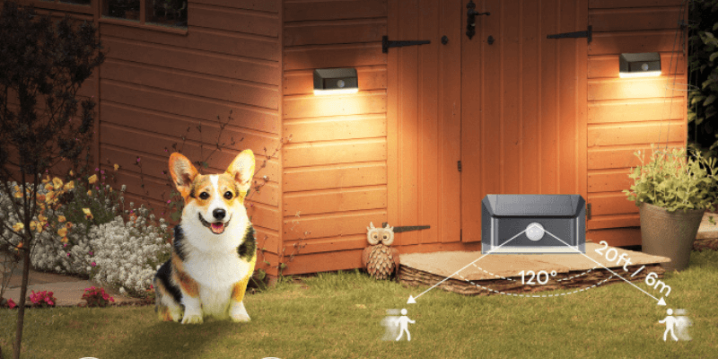Ultimate Guide: Best Outdoor Solar Motion Sensor Lights