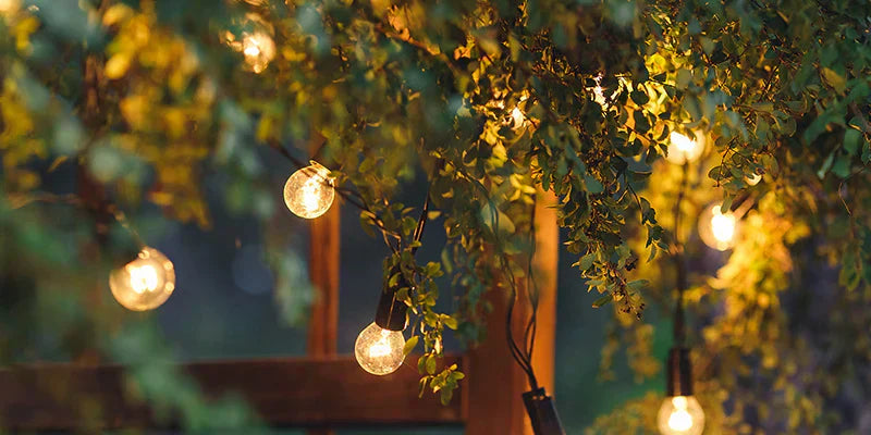 solar outdoor light