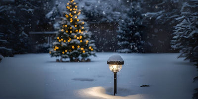 winter outdoor solar lights