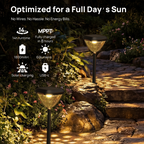 Linkind SP6 Smart Solar Pathway Lights