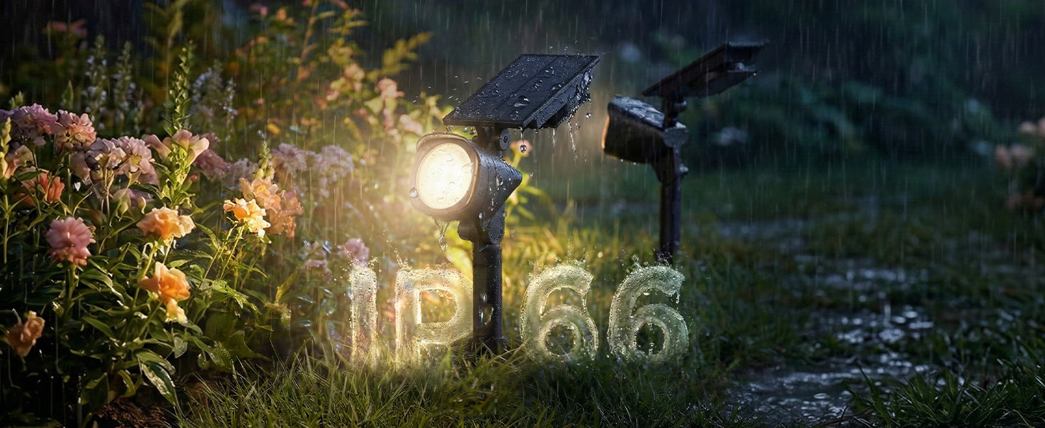 Linkind Smart Solar Spotlights SL6C with Dual-Ring Lighting(App&Voice