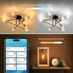 Linkind Matter Smart Bulb - ST19 Smart Edison Light Bulbs