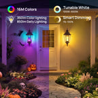 Linkind T19 Smart Flickering Flame Light Bulb 850lm for Halloween, Color Changing LED Bulb with App Control for Porch & Outdoor Lighting