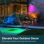 Linkind Color Changing Solar Spotlights SP004