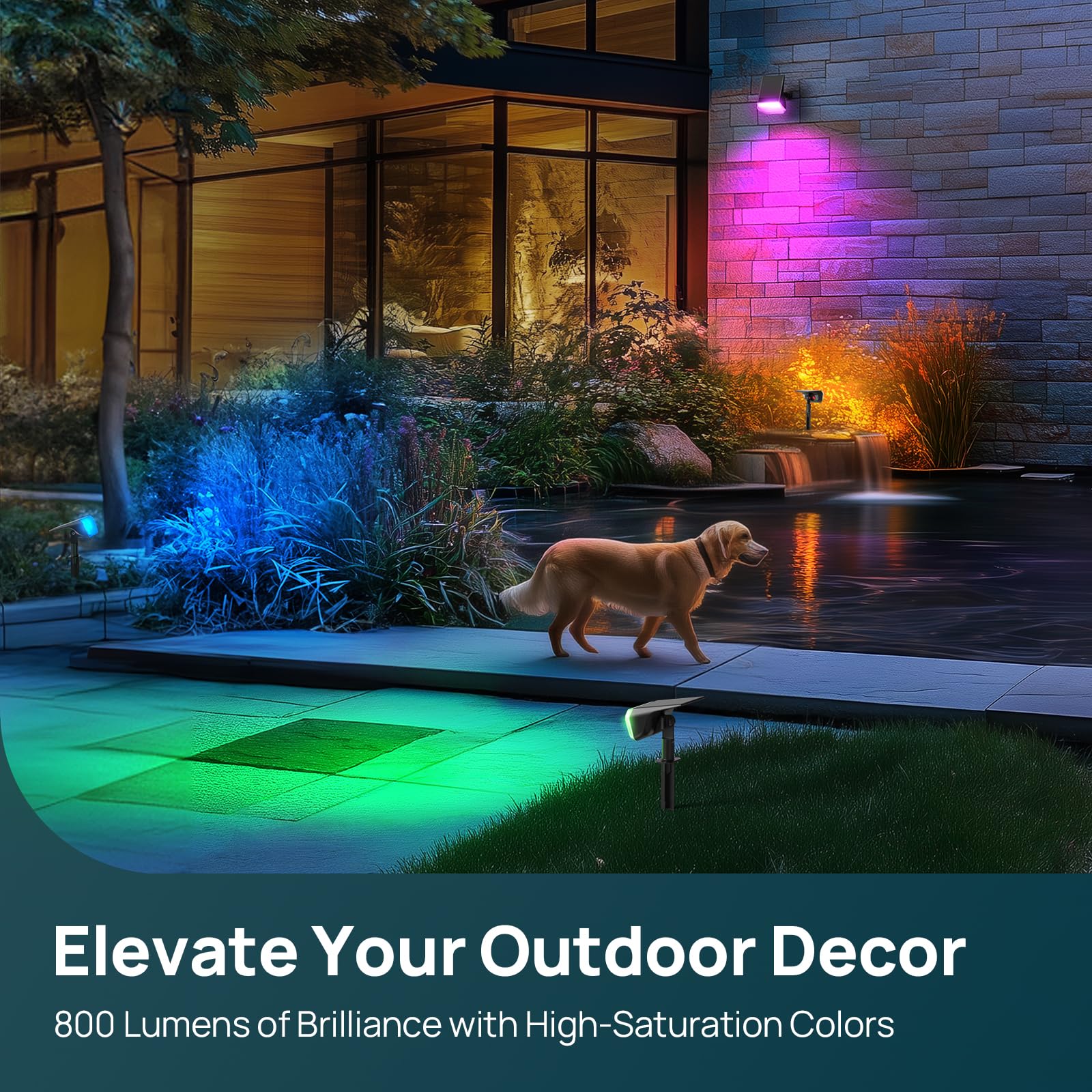 Linkind Color Changing Solar Spotlights SP004