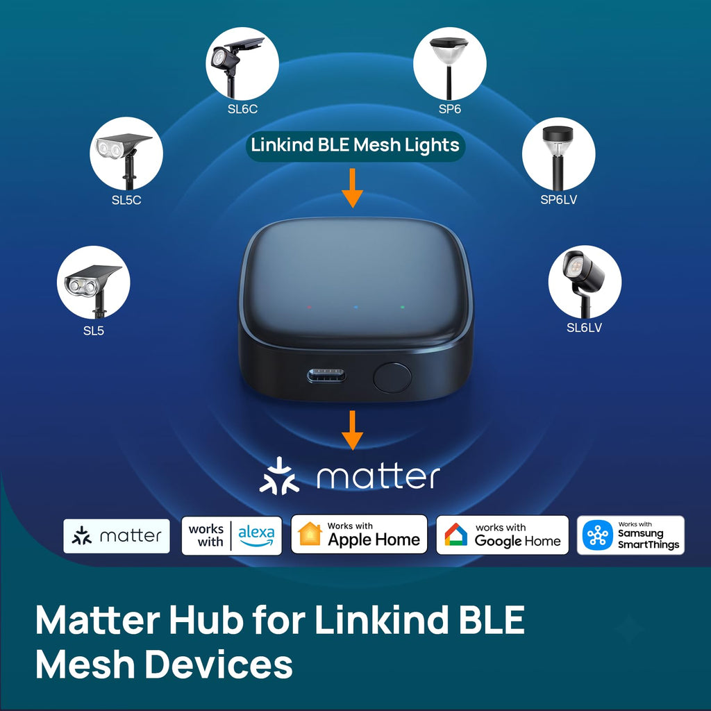Linkind Matter Smart Hub 2