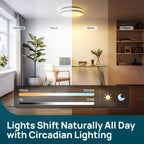 Linkind Matter Smart Ceiling Light ColorBlend 12 Inch