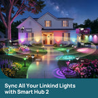 Linkind Matter Smart Hub 2