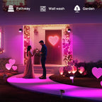 Linkind Color Changing Solar Spotlights SP004