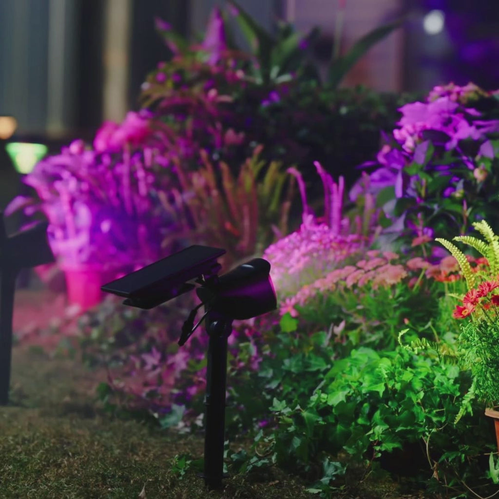 Linkind Smart Solar Spotlights SL6C with Dual-Ring Lighting(App&Voice Control, 16 Million Color, IP66 Waterproof)